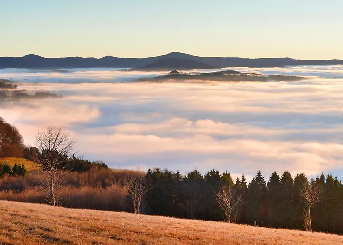 Gersfelder Hof 4* Герсфельд